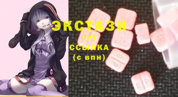 шишки Аркадак