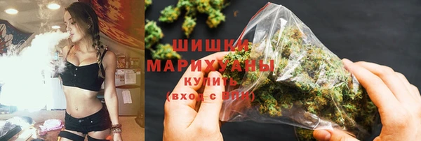 шишки Аркадак