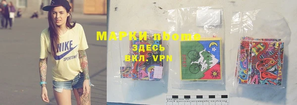 шишки Аркадак