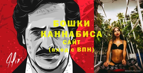 шишки Аркадак