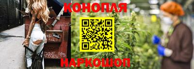 стаф Кунгур