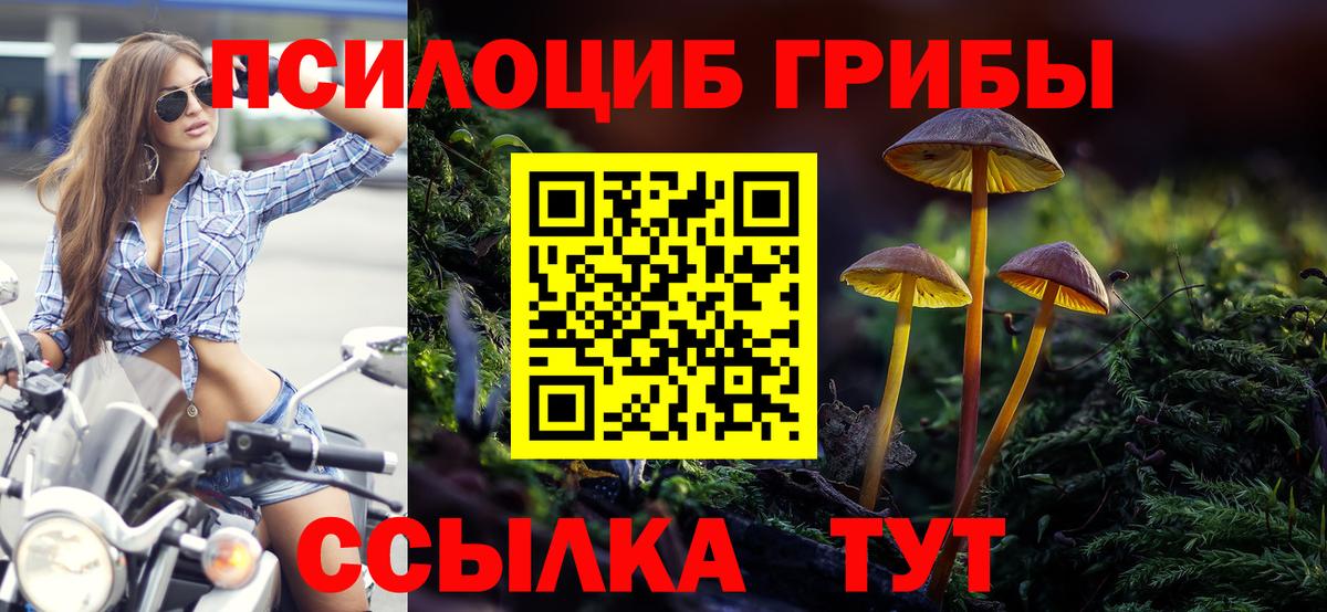 Галлюциногенные грибы мицелий Каспийск