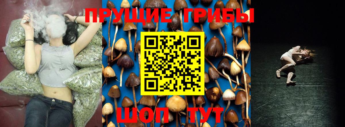 Каспийск  Галлюциногенные грибы GOLDEN TEACHER  где можно купить наркотик  Галлюциногенные грибы мицелий  Вход с VPN 