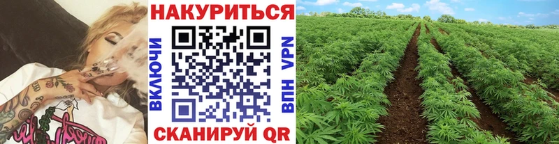гидра рабочий сайт  купить наркотики сайты  Каспийск  Шишки марихуана ГИДРОПОН 